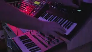 Wired Midnight - Korg MinilogueXD Monolgue Synthwave