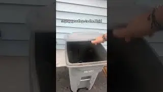 the plaid is gone