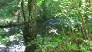 IMG 6592
