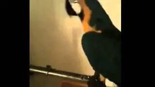 Parrot says WTF