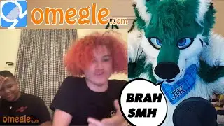 Normies on Furry Omegle ask the dumbest things XD