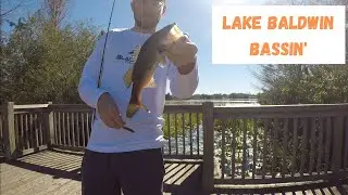 Bass Fishing Lake Baldwin and Lake Susannah (Orlando Florida)