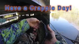 Another Day Turns Crappie!