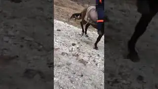 харошшшш