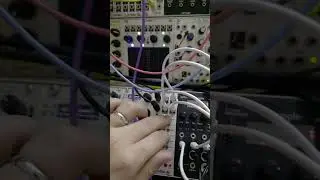 Plonk & Steppy Triggering Rample #lofimusic #eurorackmodular #eurorack