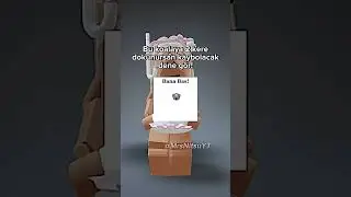 Dene Gör! 🐨 
