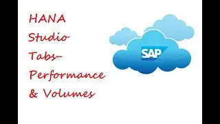 HANA Studio Tabs- Performance & Volumes