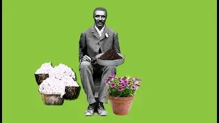 George Washington Carver - the first environmentalist!