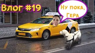 Влог #19 Тифлокомментарии в театре!