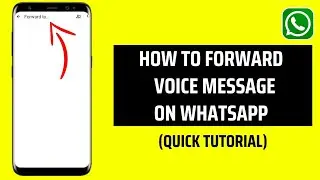 How To Forward Voice Message On WhatsApp