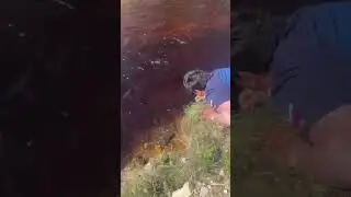 ЧТО БЫЛО ДАЛЬШЕ? 