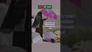 🌹🌸💮🏵️🌺🌼🌻🌷