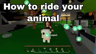 HOW TO RIDE YOUR ANIMAL IN ROBLOX ISLANDS