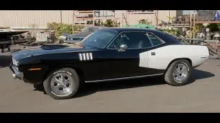 MOST EXPENSIVE CUDA TRIBUTE PART II: THE REVEAL