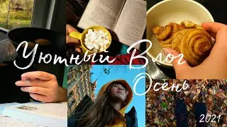 Уютный Влог 🍁 | Alisa Barzik
