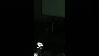 Conor McGregor 