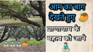प्राणायाम के महत्व को जाने 🧘🏻‍♂️ और आम का बाग भी देखें🌳😀