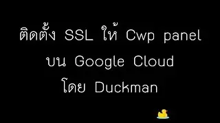 ติดตั้ง SSL ให้ Cwp panel บน Google Cloud