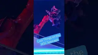 Cool Things on the MSC Seascape Cruise 🚢