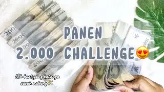 Panen Tantangan Menabung Dua Ribu | Bongkar 2.000 Challenge