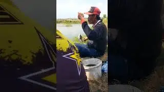 STRIKE NILA BERTUBI TUBI