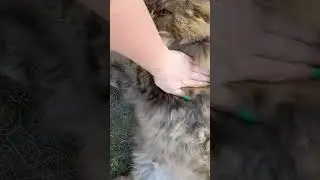 Артем на прогулке 