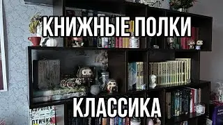 Книжные полки КЛАССИКА📚