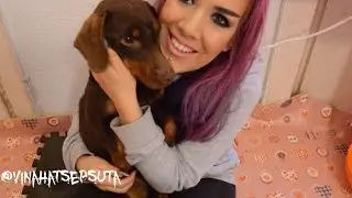 NOVI ČLAN PORODICE!!!!!!!!!!!!!!!!!!!!!!!!!!!!!!!!!!!!!!