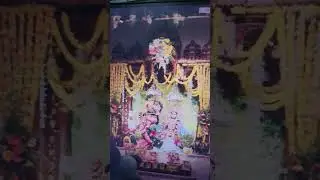 હિંડોળા દર્શન, હરે ક્રિશ્ના હરે રામા મંદિર, ભાડજ #shorts #shortsvideo #krishna #krishnastatus