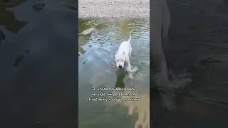 На самом деле, я ничего не поняла 😂😂😂 