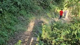 Tiger ki Khoj aur Pahdo ki tracking Uttrakhand mein
