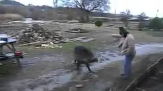 Yaban Domuzunu Gel Kızım Diye Sevmek