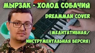 Мырзак - Холод собачий (DreamMan Instrumental Cover)