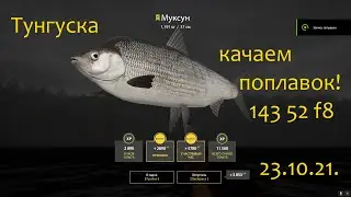 рр4! Тунгуска Поплавок рыбное ассорти!!