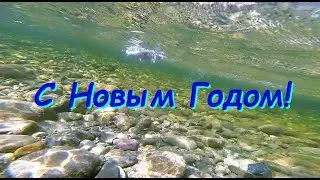 С новым 2022   годом!