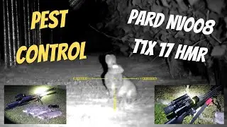 Night-vision Pest Shooting with Tikka T1X 17hmr with Pard NV008 IR Scope