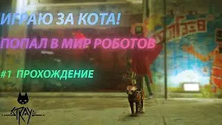 ИГРАЮ ЗА КОТА! ПОПАЛ В ВЫМЕРШИЙ ГОРОД РОБОТОВ В Stray!