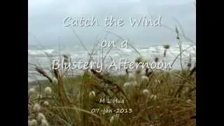 KITE SURFING on a Blustery Day: 7-1-2013