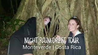 Monteverde Cloud Forest by Night | Costa Rica
