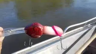 Ах*енный воблел