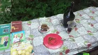 Рабы винограда, даже смерти не боятся...