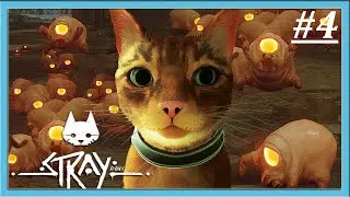 Прохождение игры Stray ОТПРАВИЛСЯ В ГОРОД ЗУРКОВ