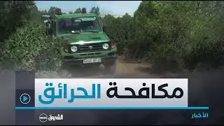 #سيدي_بلعباس..حريق واحد مس الغطاء الغابي دون تسجيل خسائر..مخطط محافظة الغابات يثبت نجاعته