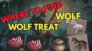 Best Place For Direwolf And Direwolf Treat | Grim Soul Survival