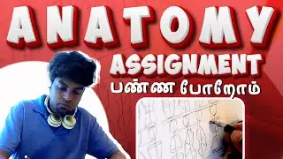 How to Draw Anime Bodies - Anatomy Practice பண்ண போறோம் - Anime drawing தமிழில்