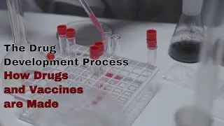 The Drug Development Process (How Drugs and Vaccines are Made)