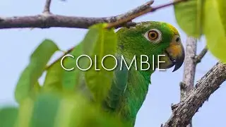 BEST OF COLOMBIA - Cartagena, Medellín, Bogota, Salento, Gajira, Tatacoa, Ciudad Perdida, Tayrona