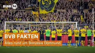 Borussia Dortmund (BVB): Alle Fakten über die 