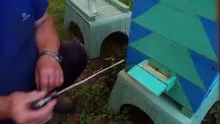 Кормление пчёл без хлопот