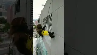 Bear rappels off the DELTA CENTER 😳 | UTAH JAZZ #shorts